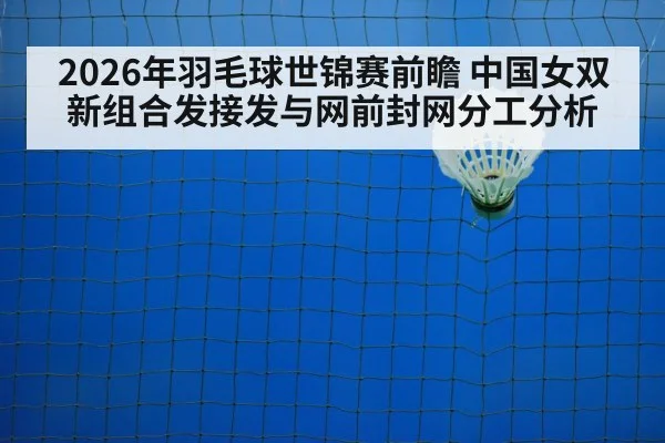 badminton net play closeup